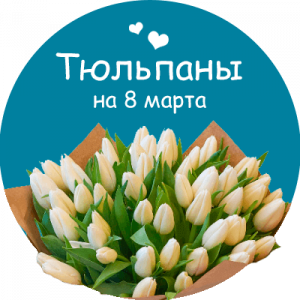 Купить тюльпаны в Макеевке